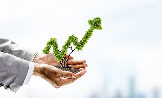 green-values green-values